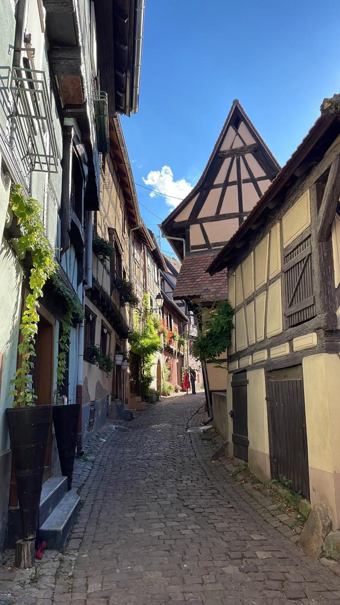 Aux P'tits Coeurs D'alsace
