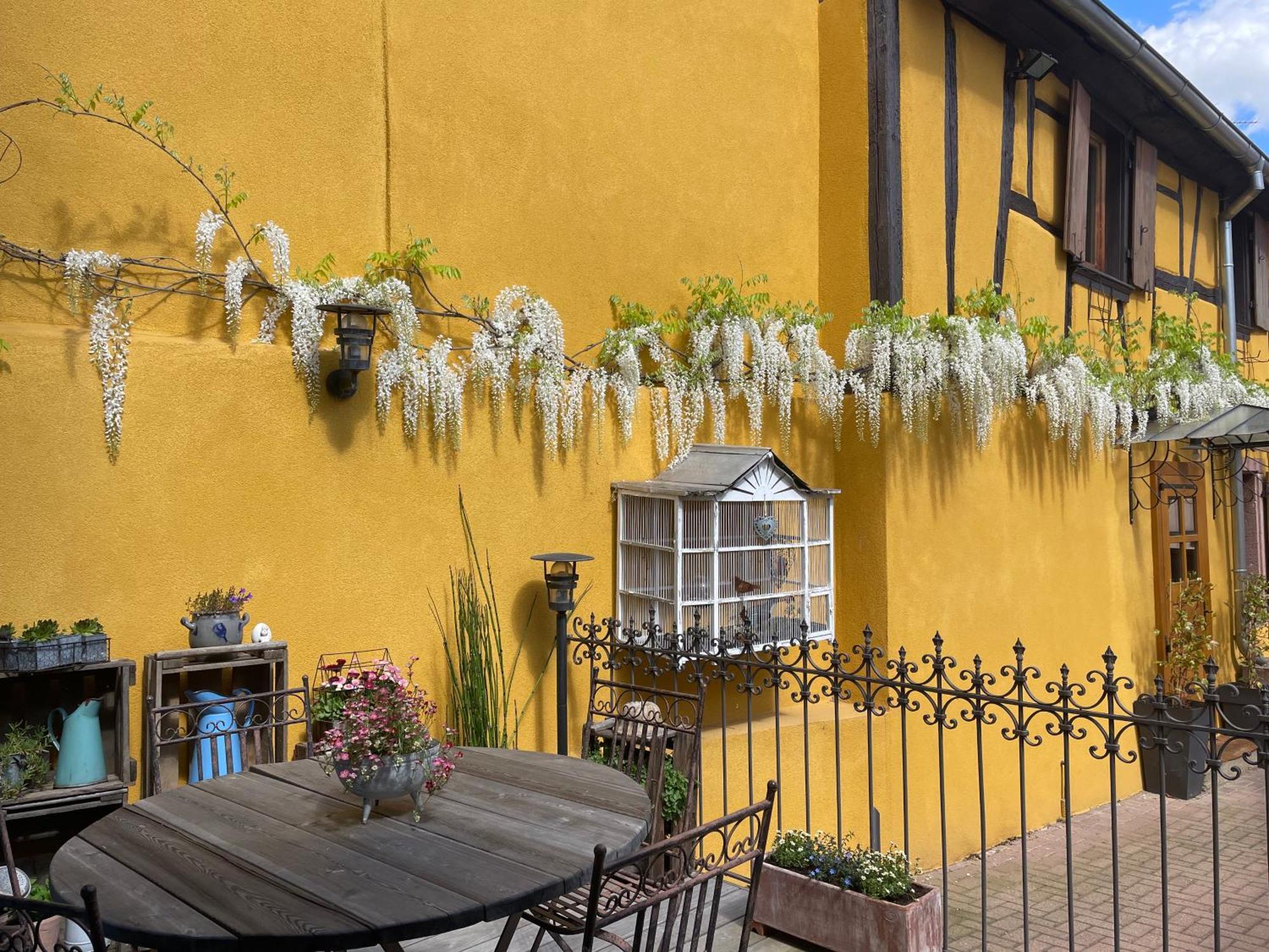 Aux P'tits Coeurs D'alsace Ferienhaus *